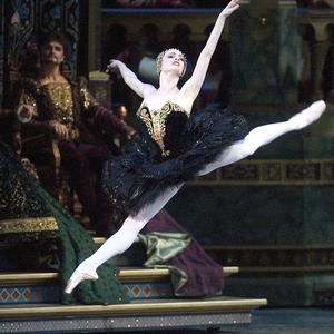 Gillian Murphy in Swan Lake. Photo: Gene Schiavone.
